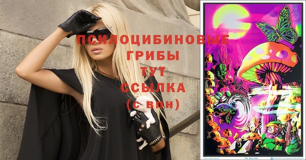 кокс Алексин