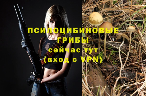 кокс Алексин