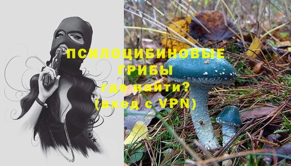 ALPHA PVP Алексеевка